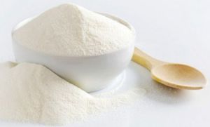Whole Milk Powder