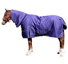 Winter Horse Rain Sheet