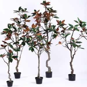 Plastic Magnolia Trees