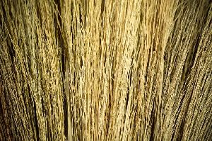 grass Brooms raw material