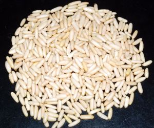 Pine Nuts Kernels