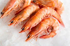 Ocean King Prawn