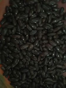 Anupama Black Bean Seeds