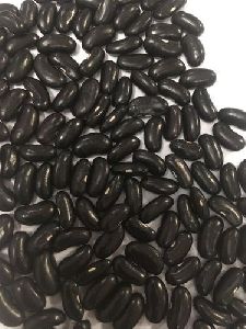 Karamani Creeper Bean Seeds