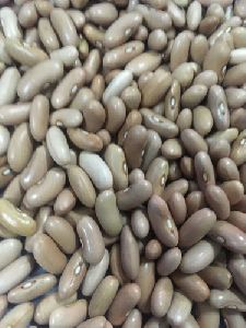 Selection 9 French Bean Seeds