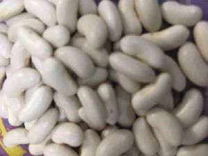 Super NZ Creeper Bean Seeds