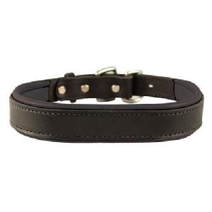 leather dog collor