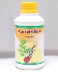azospirillum biofertilizer