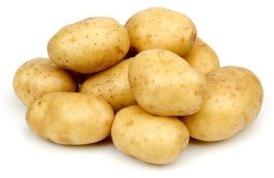 Natural fresh potato, Packaging Size : 10-20kg, 20-30kg, 30-40kg