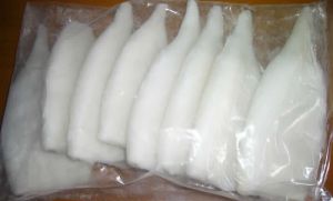 Giant Squid Fillets