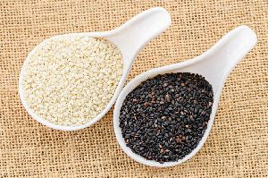 Sesame Seeds