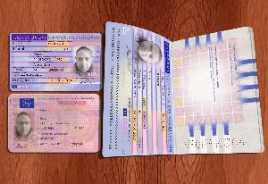 visa processing services