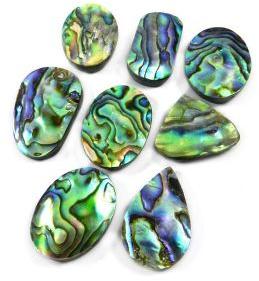 Abalone Shell Gemstone