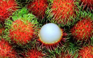 fresh rambutan