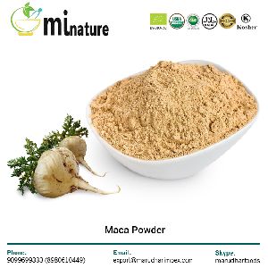 Maca Root Extract Powder