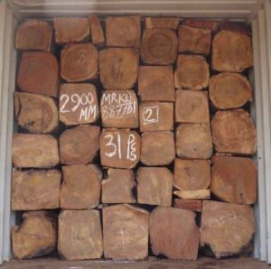 Non Polished Plain teak wood 50cm all square, Grade : AA