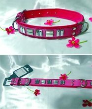 dog collars