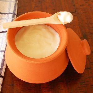 Terracotta Yogurt Pot