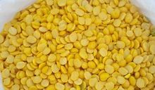 Pigeon Pea