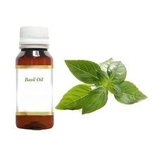Best Quality Pure and Organic Basil Oil