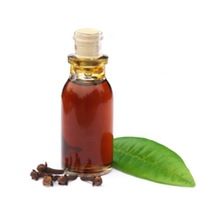 Hot Selling Pure Essential Clove Oil