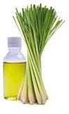 Lemongrass Essential Oil Pure