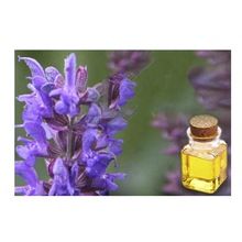 Pure and Natural Hyssop Essential Oil