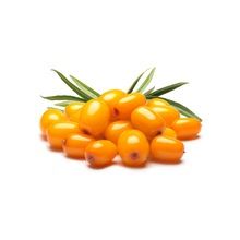 Sea Buckthorn Berry Oil, Certification : CE, EEC, FDA, GMP, MSDS, HACCP, KOSHER, ISO, WHO