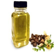 Moringa Seeds Oil