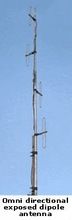 Directional Stacked Dipole Antenna