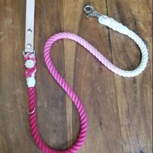 Double Ombre Dog leash