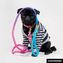 Ombre dog leash