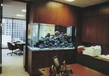 office aquarium