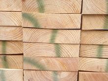 wood pine