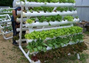 Hydroponic System Installation Services