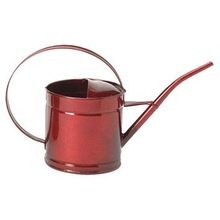 Oval galvanized watering can