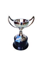 award cup trophy with wooden base