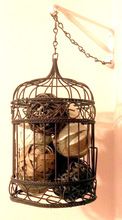 Vintage bird cages for Weddings
