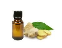 Ginger Essential Oil