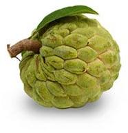 Organic Custard Apple, Color : Green