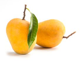 fresh mango