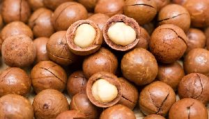 Raw and Roasted Macadamia nuts