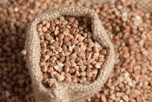 wholesale buckwheat