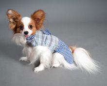Pet Clothing Dogs