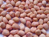 Groundnuts(peanuts)