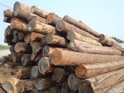 SYP Wood Logs