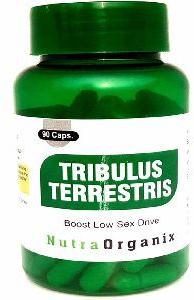 Tribulus Terrestris Capsules