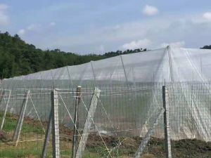 Greenhouse Anti Pest Netting