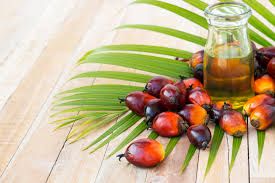 Natural Palm Oil