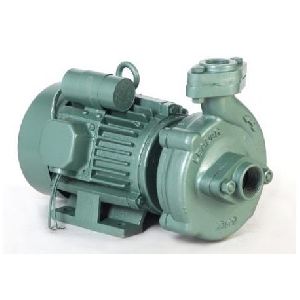 0.5 HP Centrifugal Cast Iron Pump